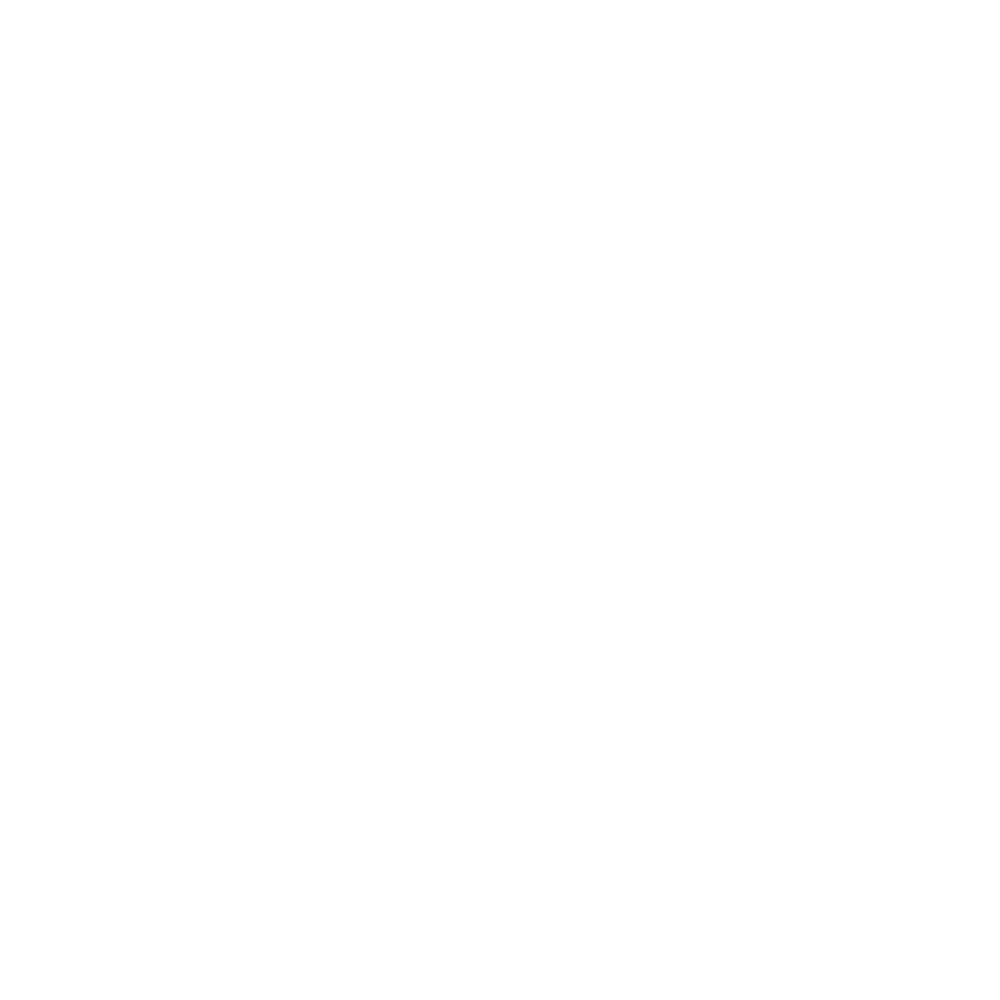 SkoHub-Logo in weiß